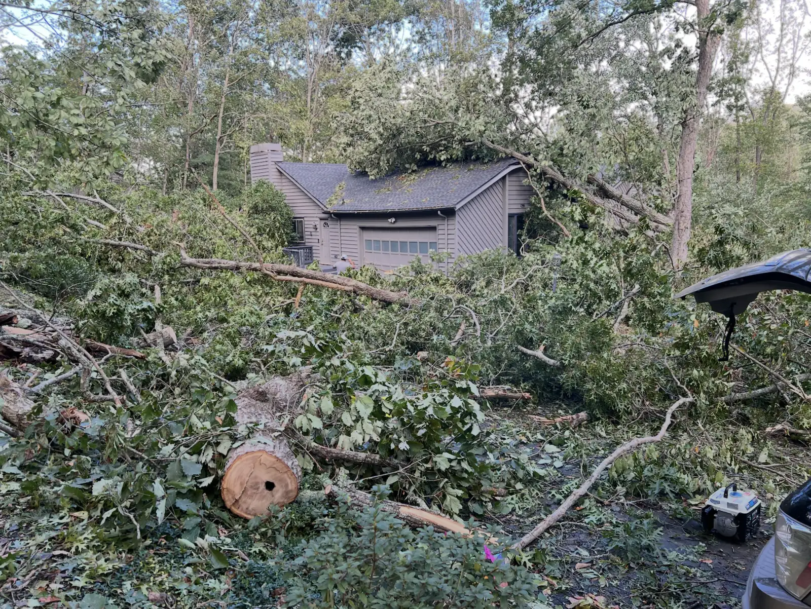 A large tree lying across the roof of our house, with fallen trees and branches filling the driveway the day after Hurricane Helene.